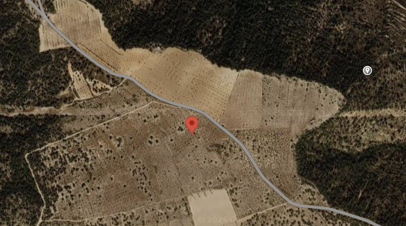 Vista aérea del entorno de Jalance I: parcelas de antiguo cultivo, hileras de árboles, caminos y masas de vegetación más densa alrededor